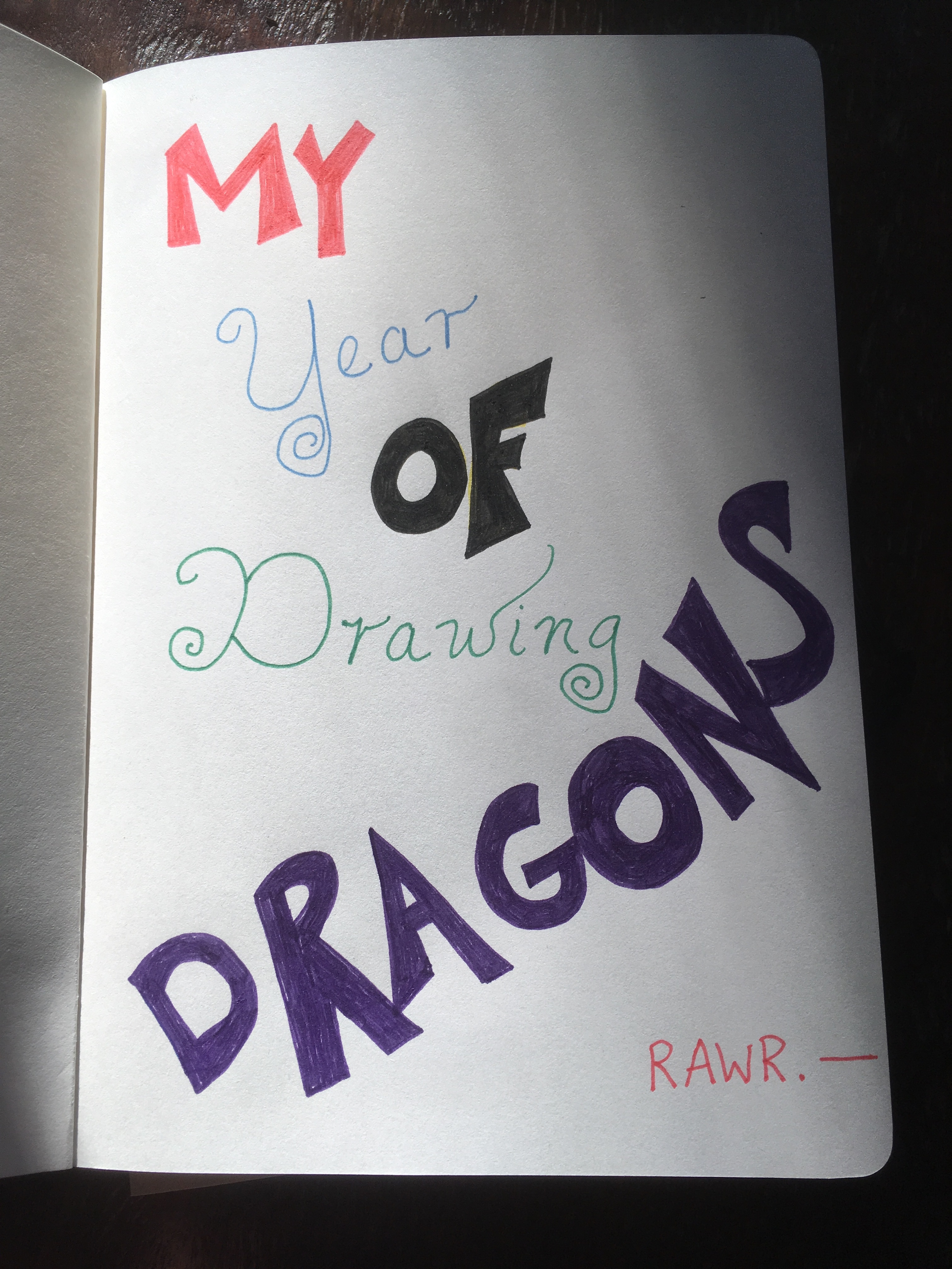 Writing in book: My Year of Drawing Dragons
