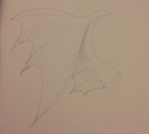 Sketched wings