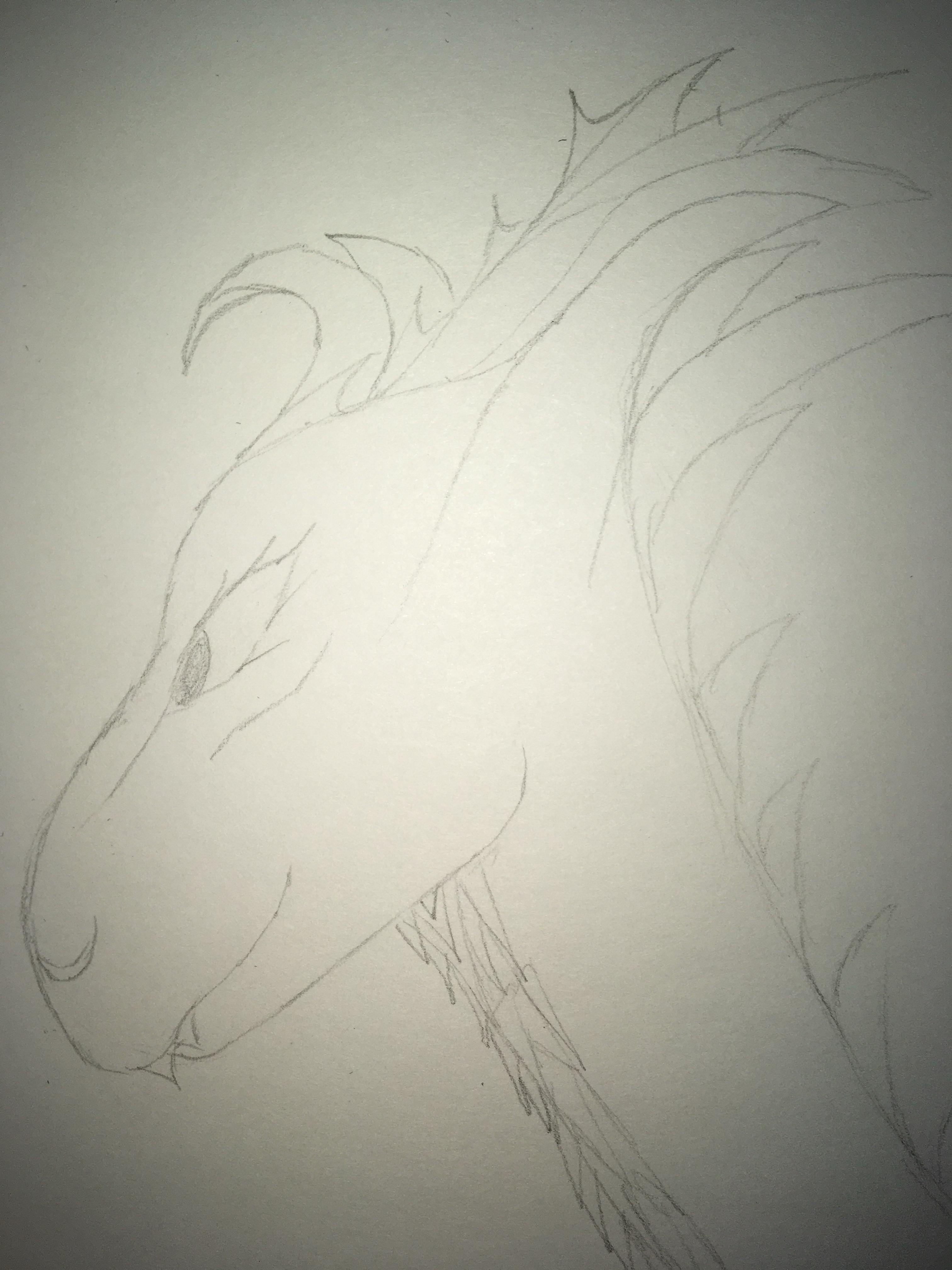 Happy dragon head in pencil 