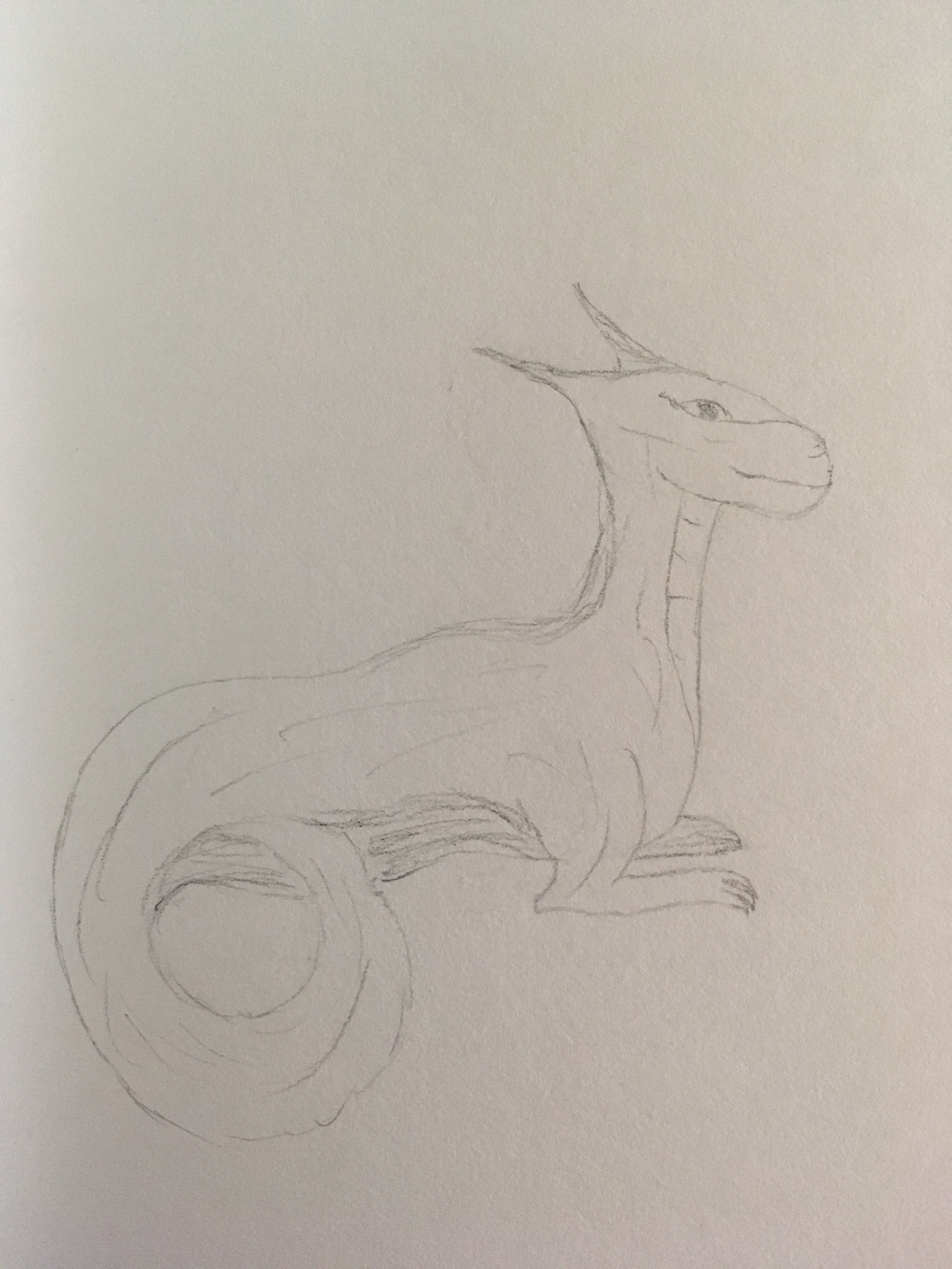 Dragon sitting staring off into distance in pencil