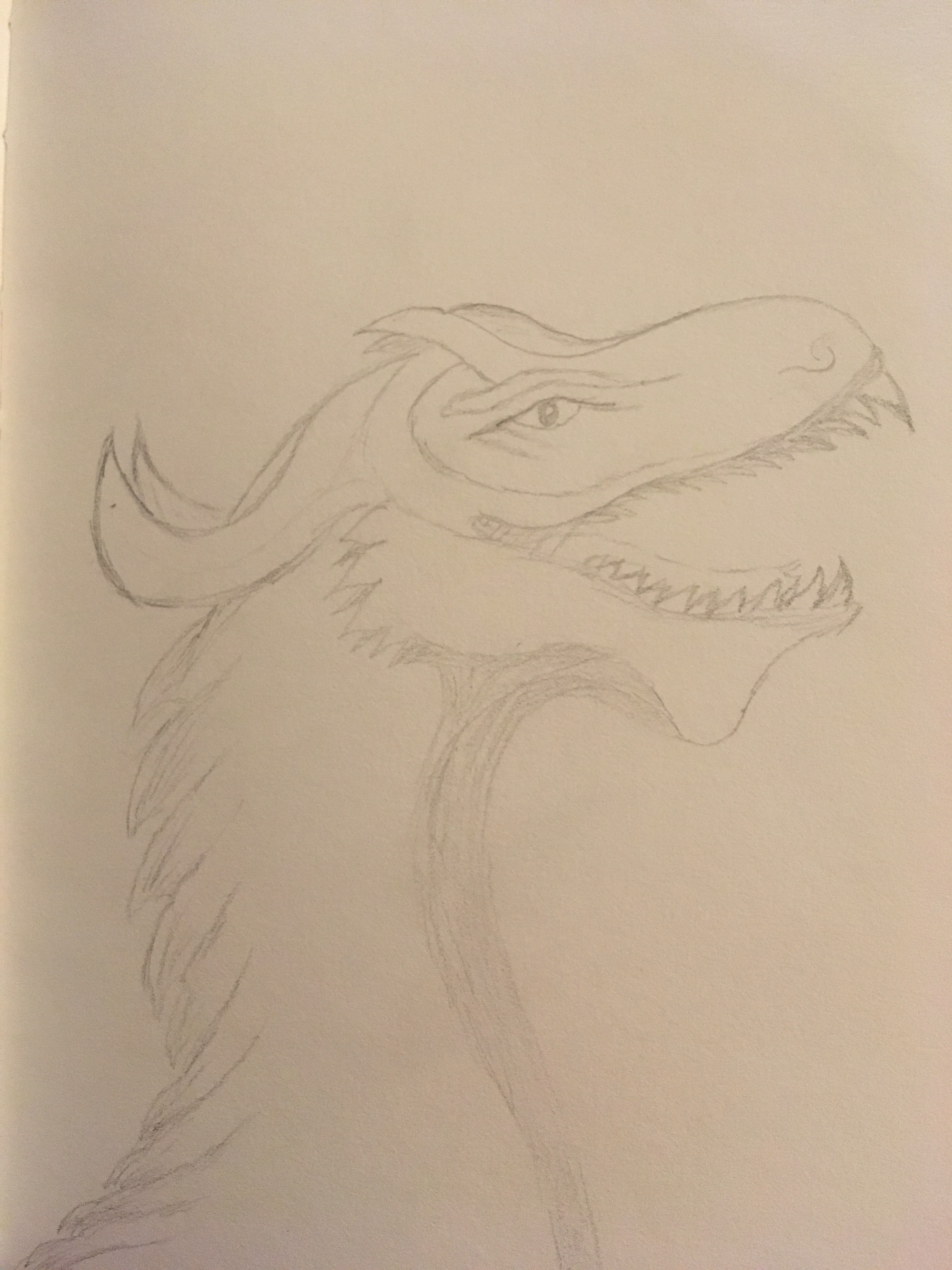 Dragon head in pencil roaring 