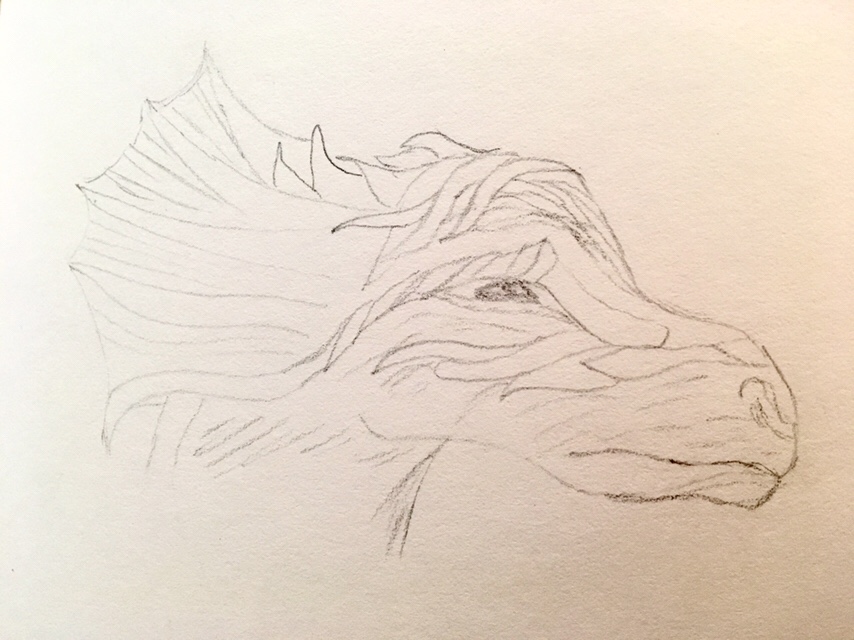 Dragon head facing right many scales