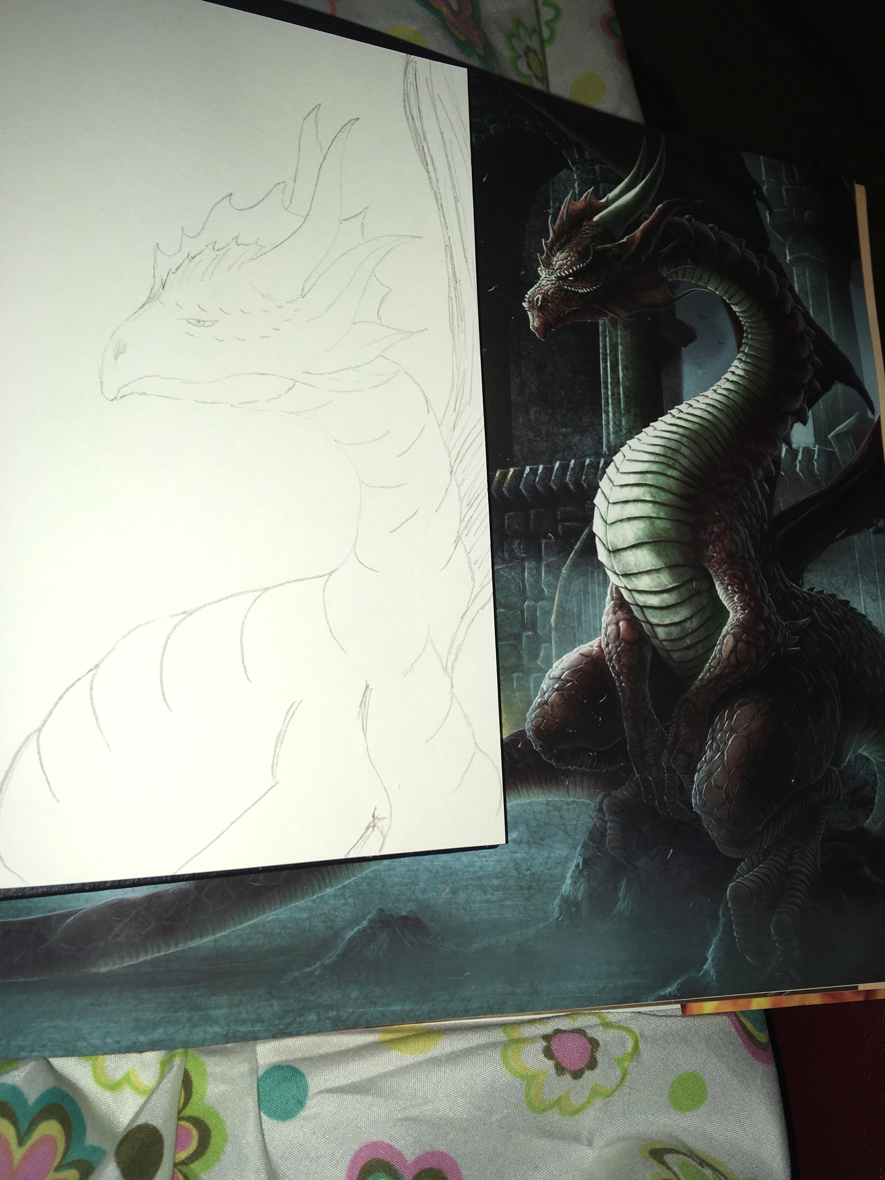 My pencil sketch next to a bomb dragon image