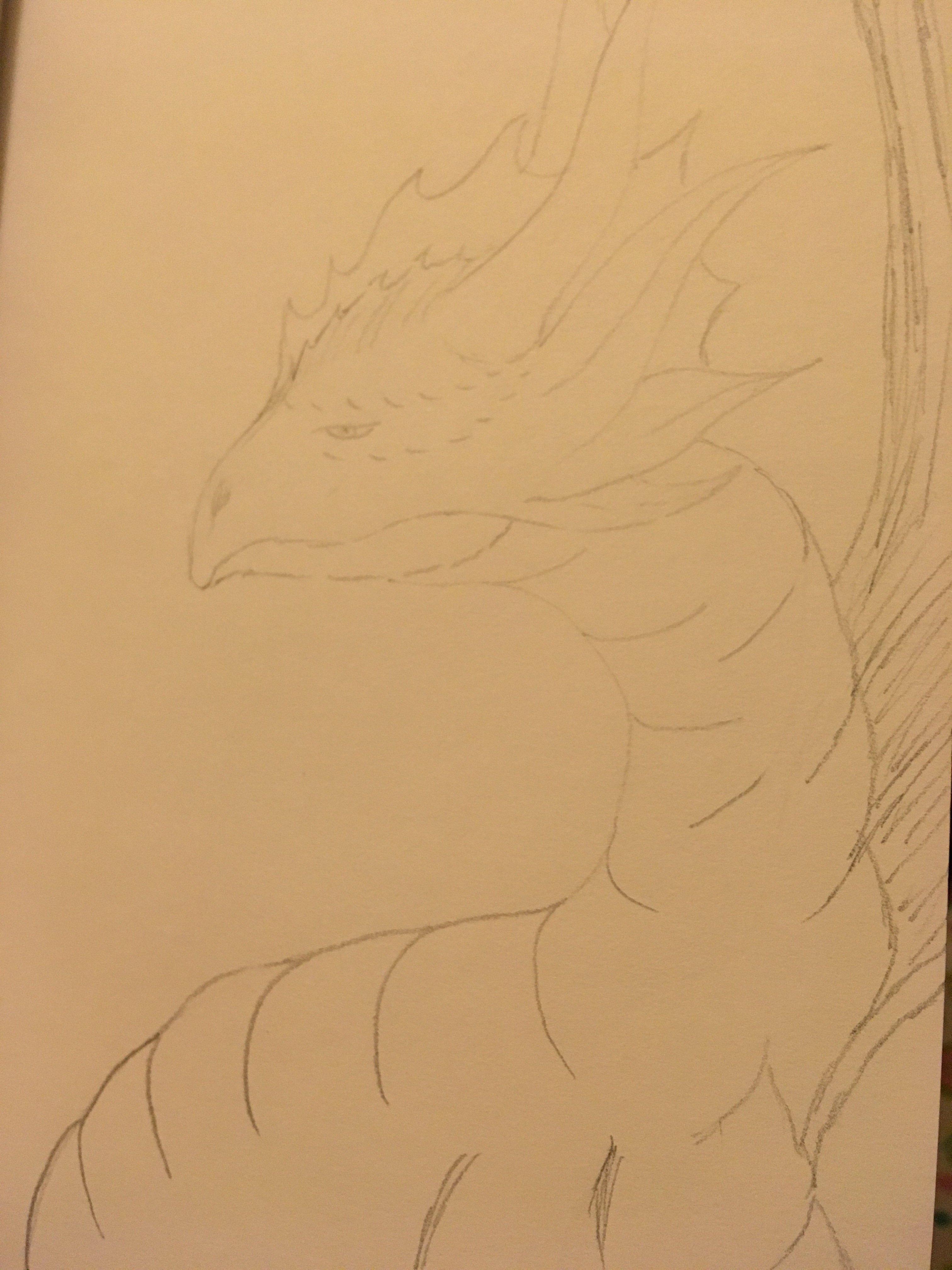 Too many tacos dragon in pencil big belly full