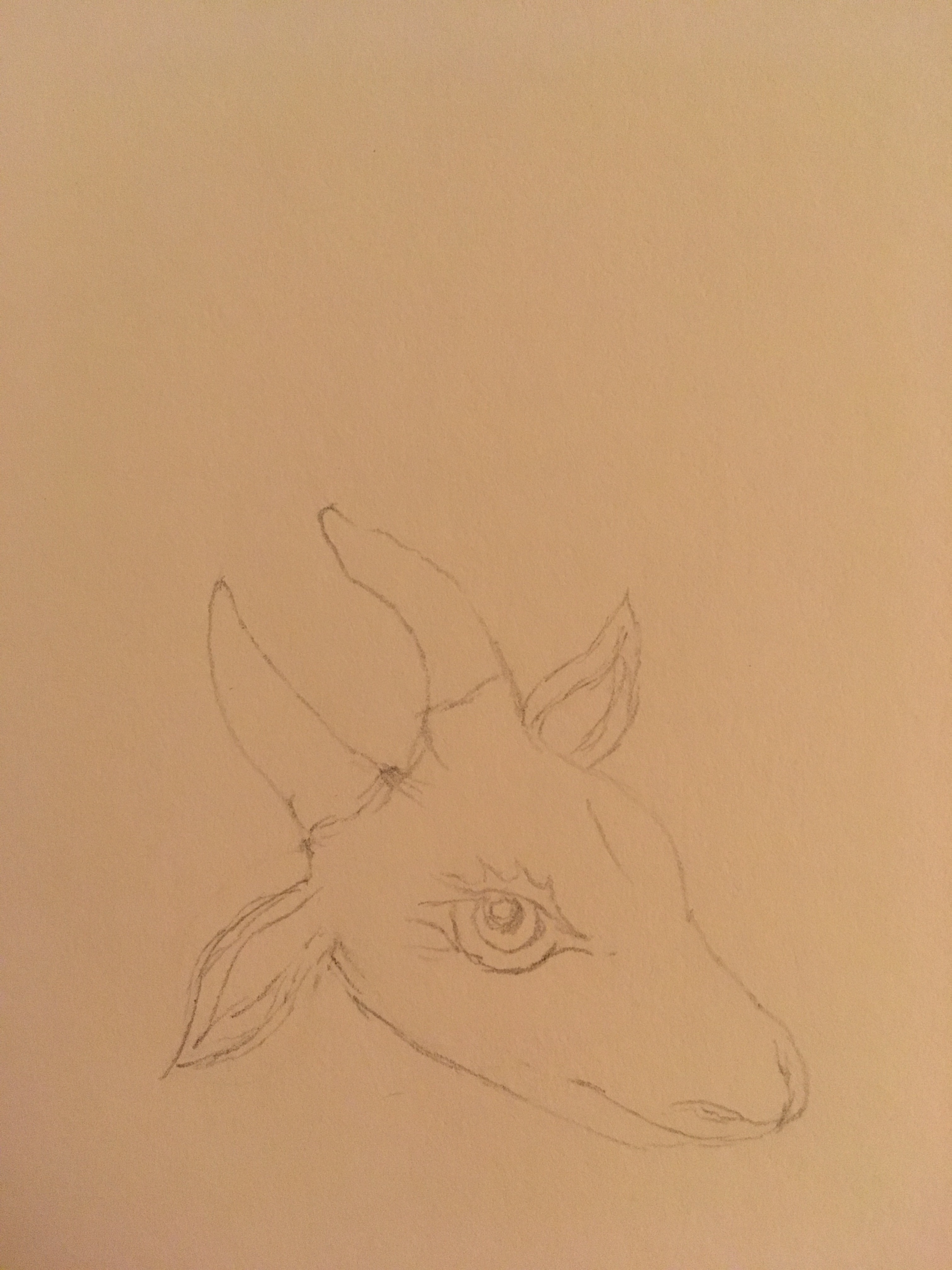 Head of a super cute goat dragon