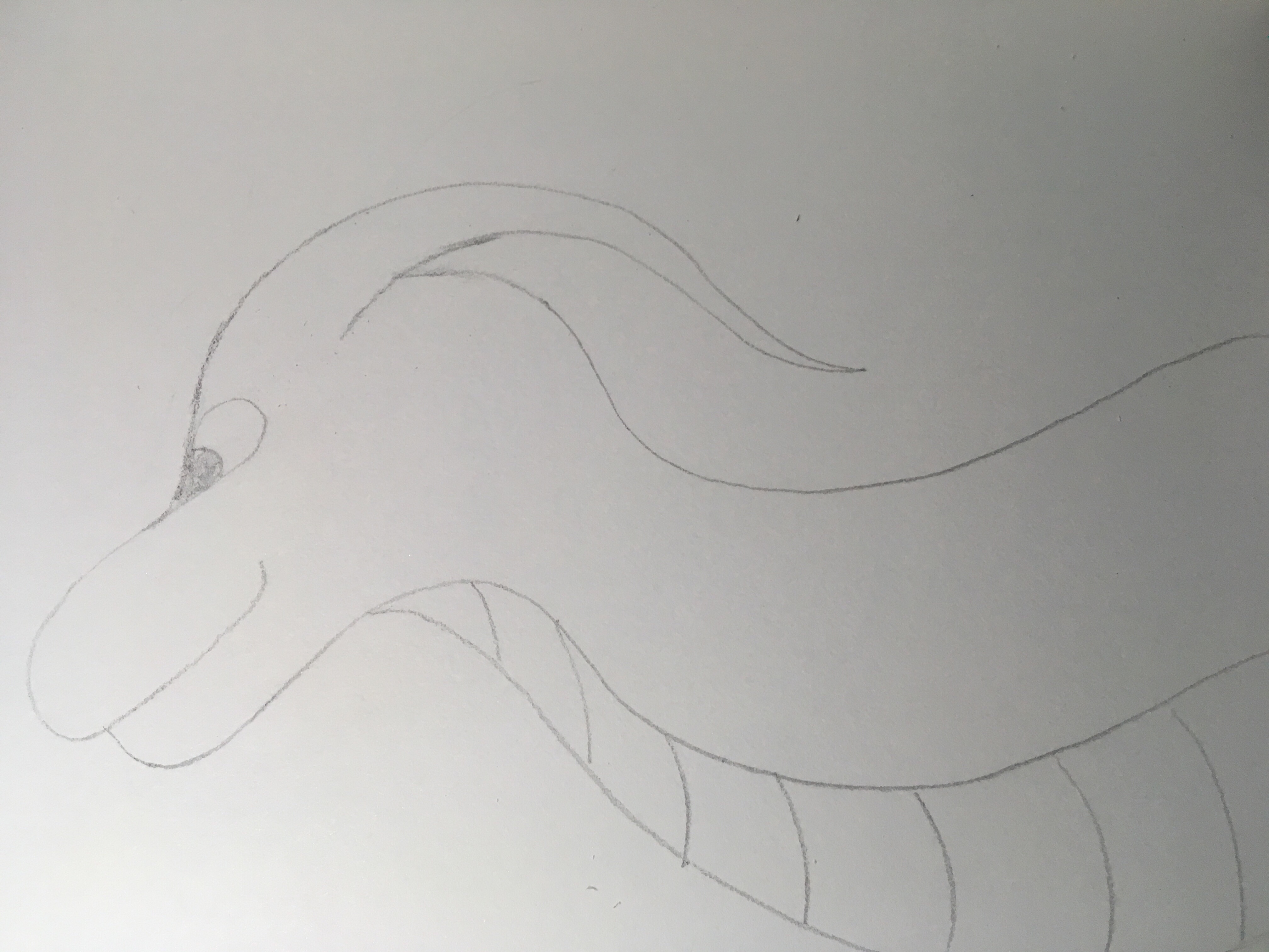 Possibly swimming dragon but it’s mostly unclear