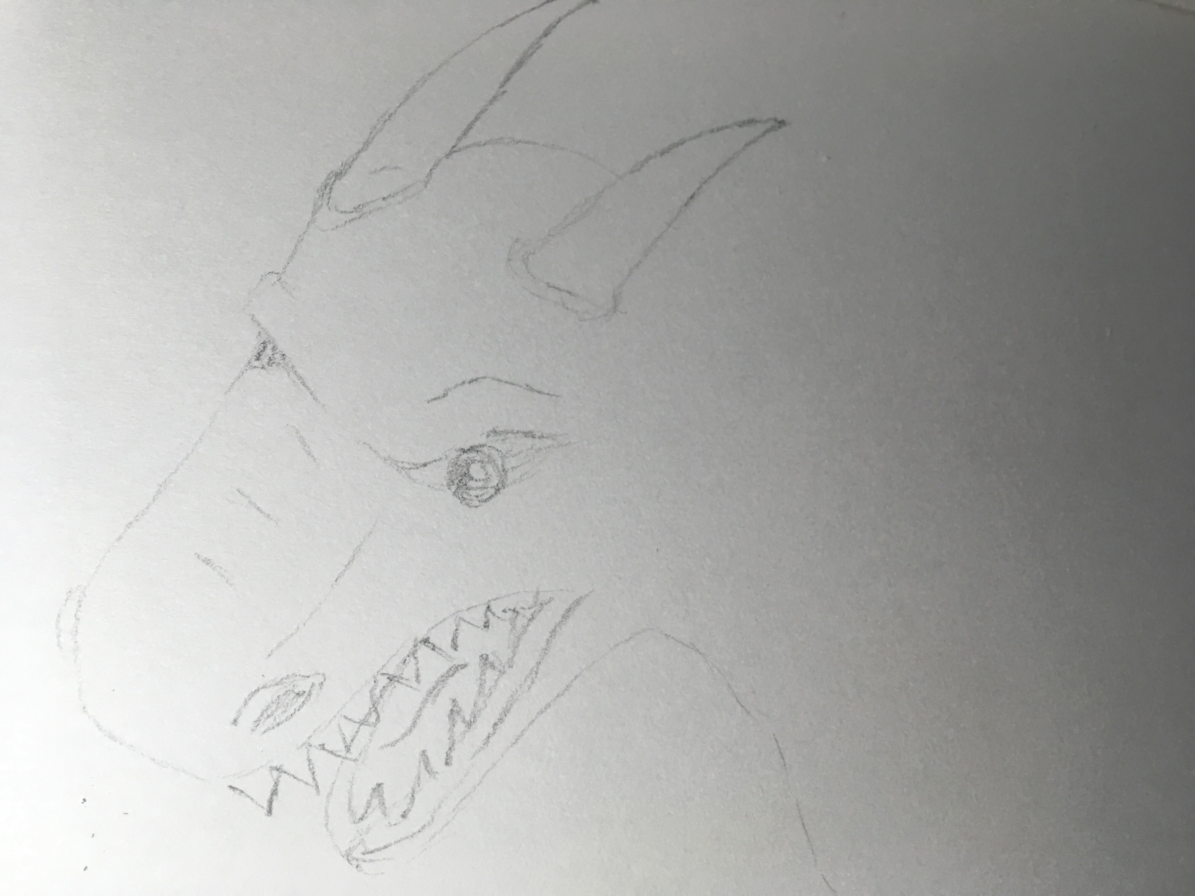 Dragon sketch begin of snarl