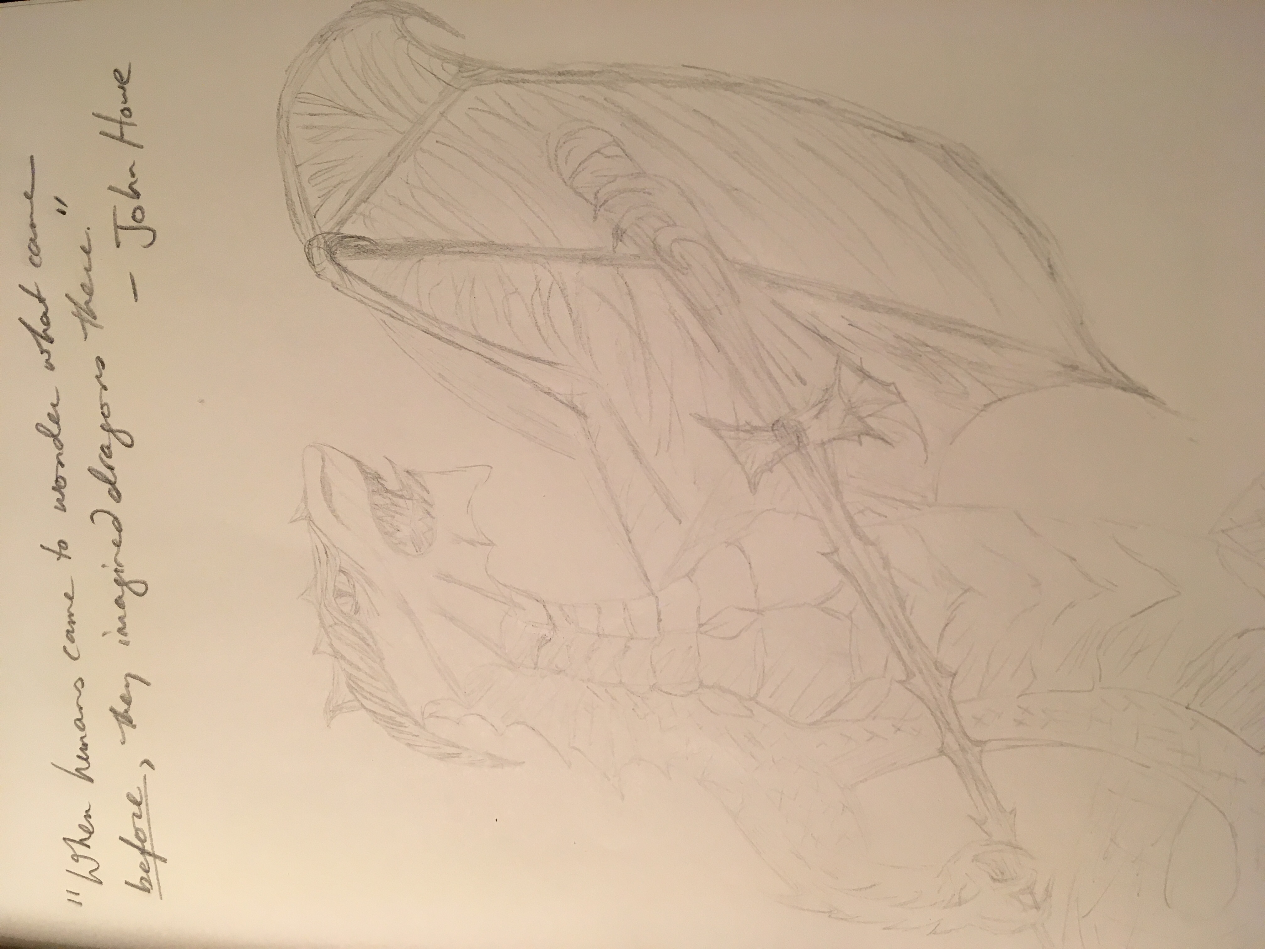 Dragon holding a sword drawn and pencil one wing missing