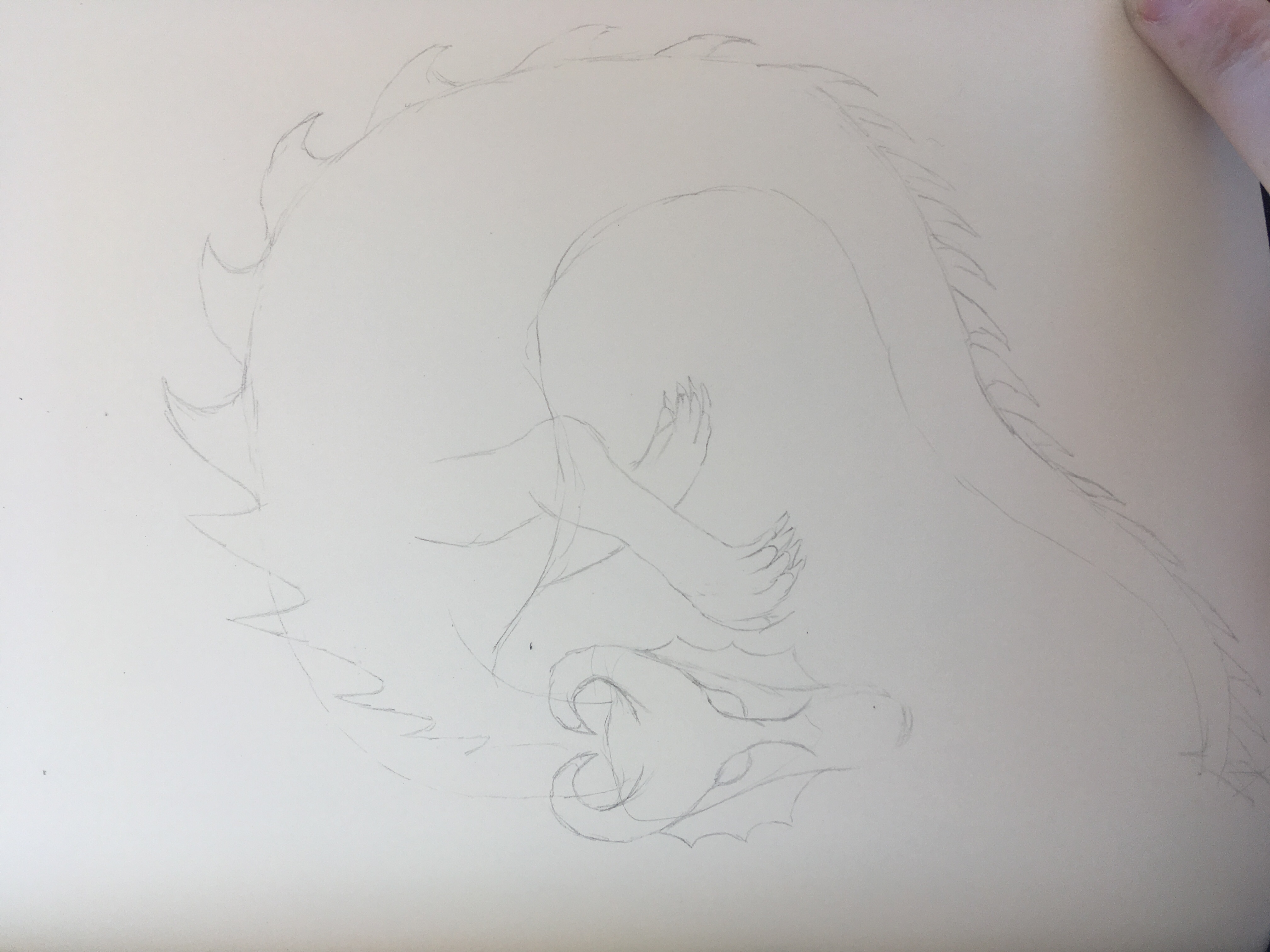 Dragon in pencil curved face beginning to be defined