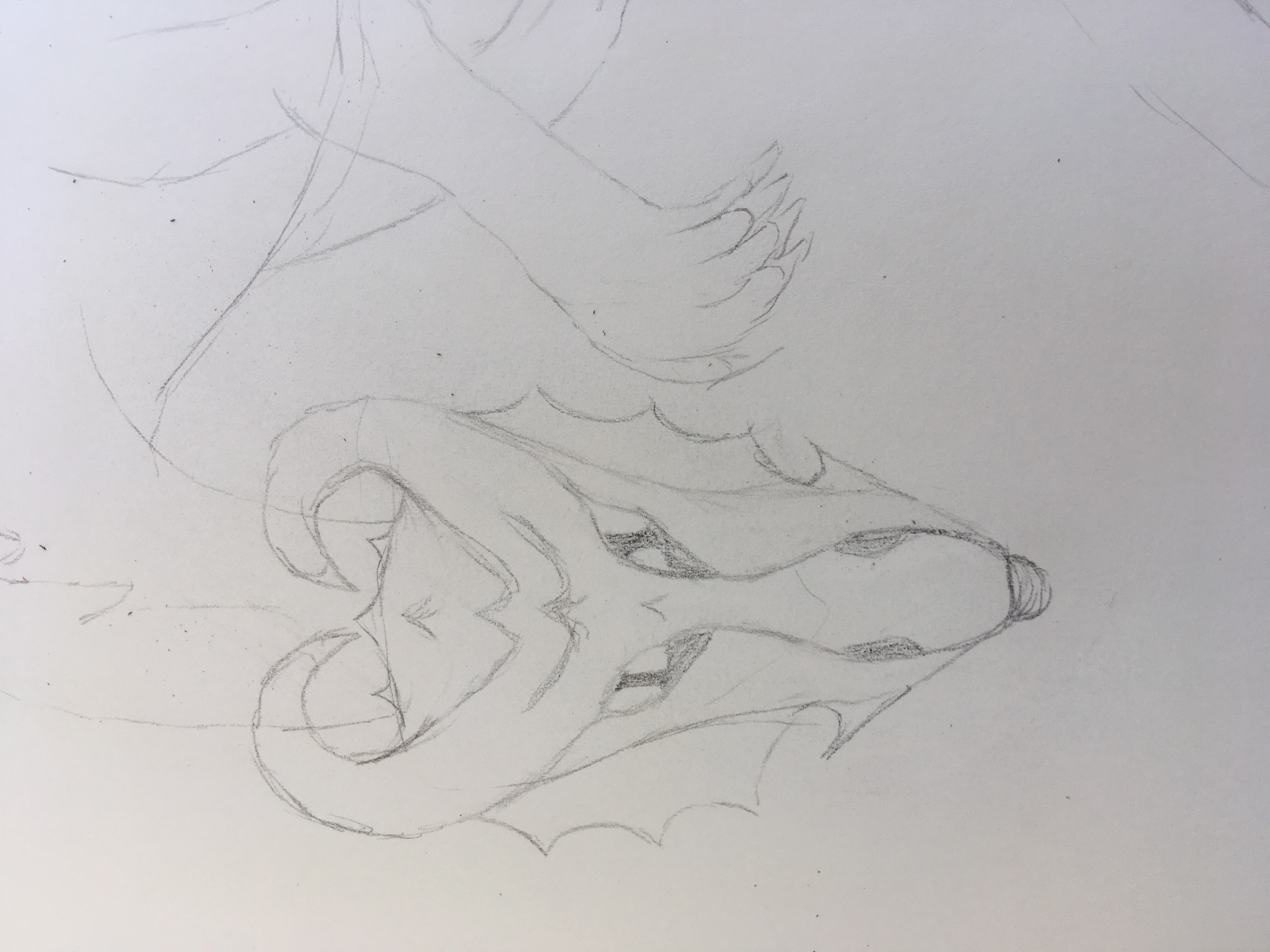 Pencil sketch of dragon with tongue possibly sticking out