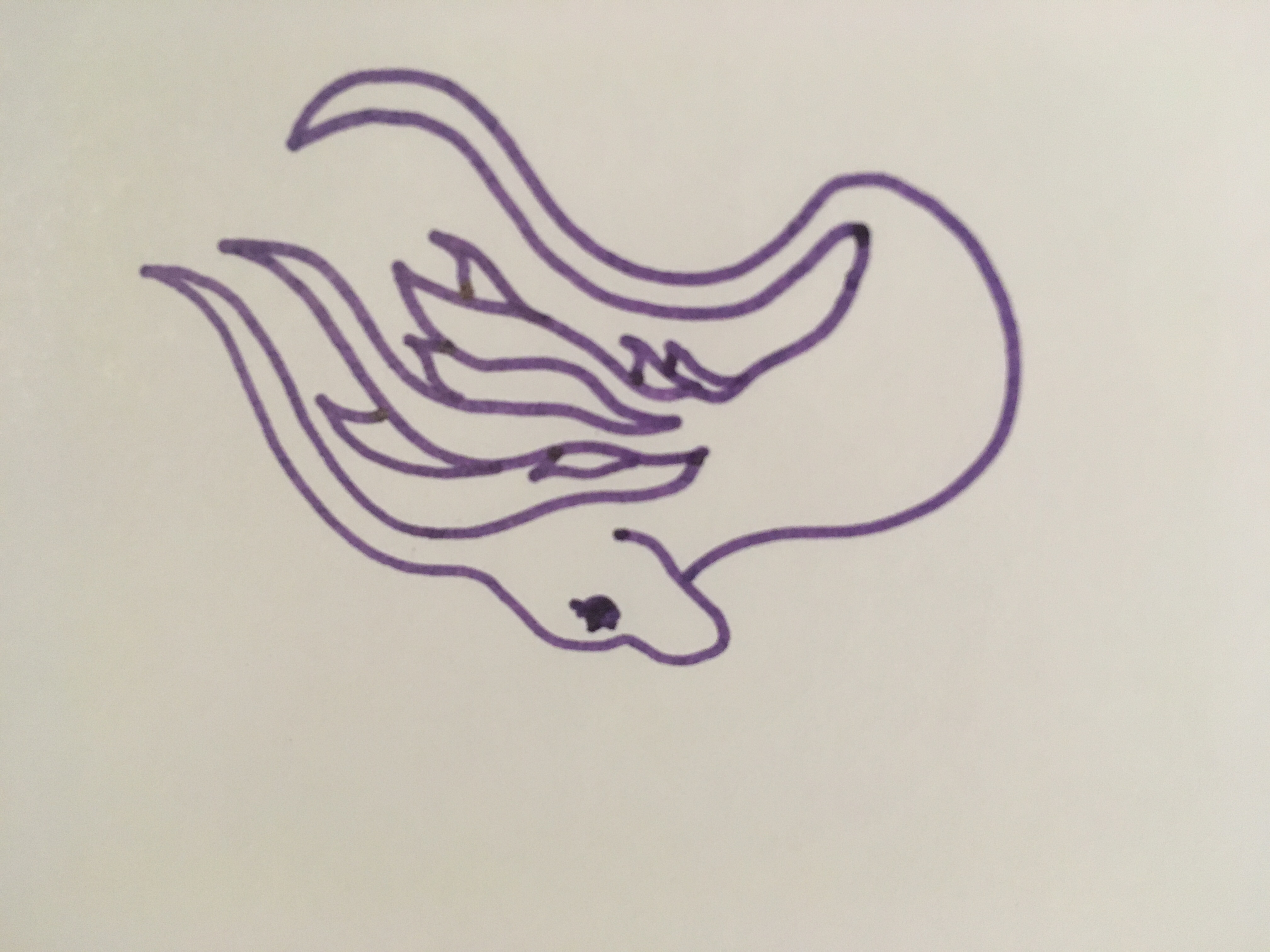 Purple tiny sea dragon