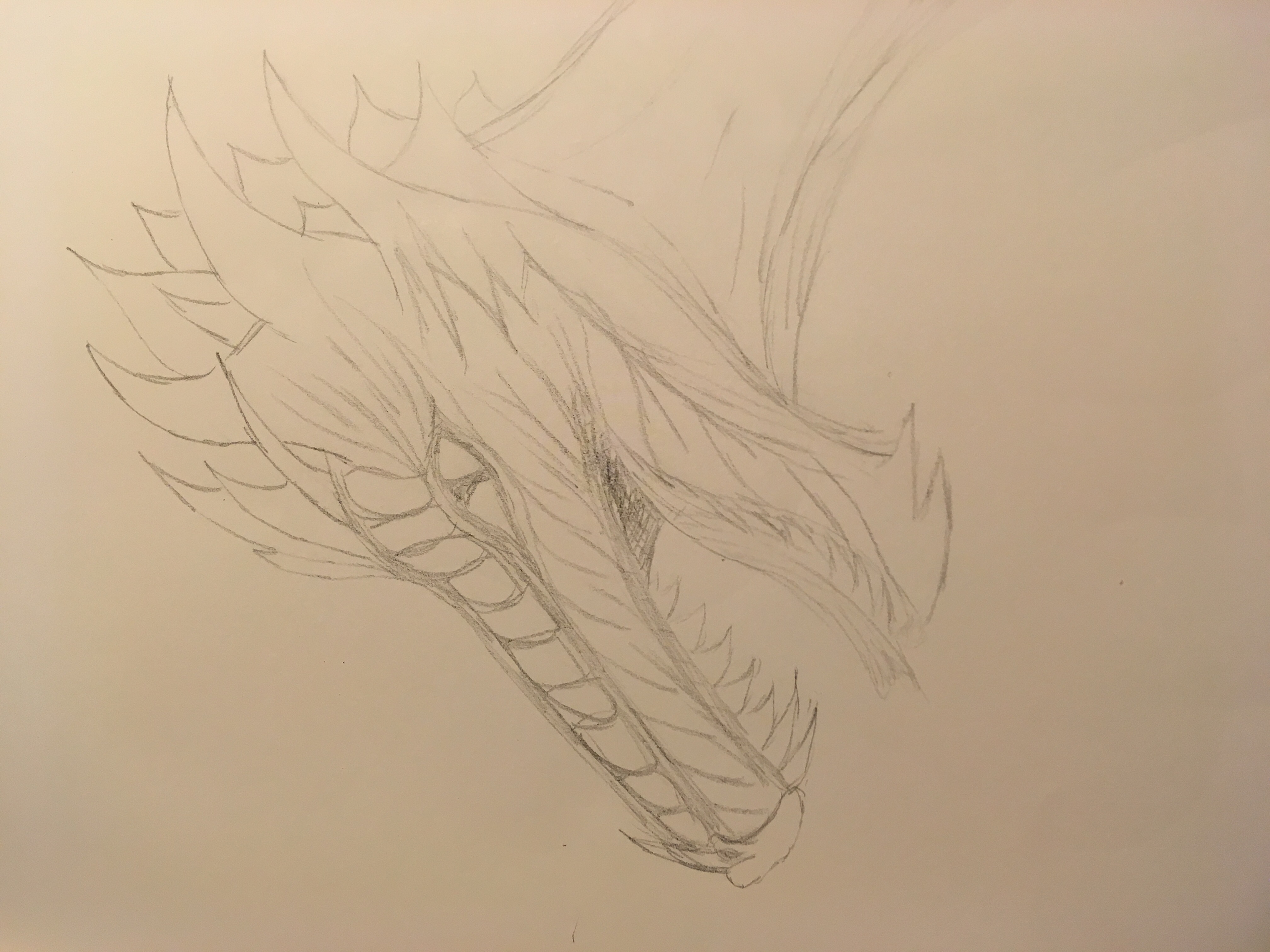 Dragon with a head like broccoli in pencil 