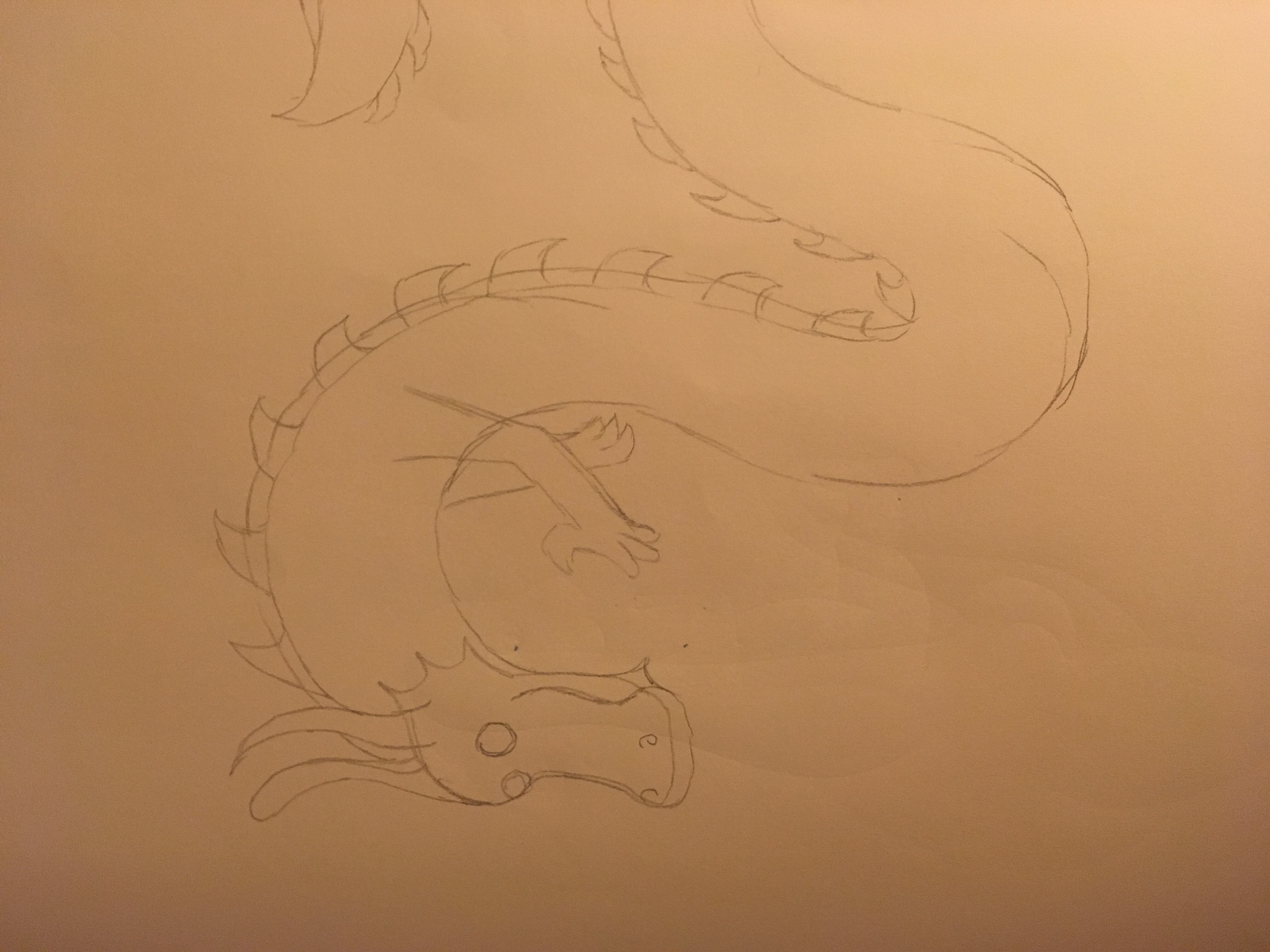 Scratch of a Chinese dragon in pencil