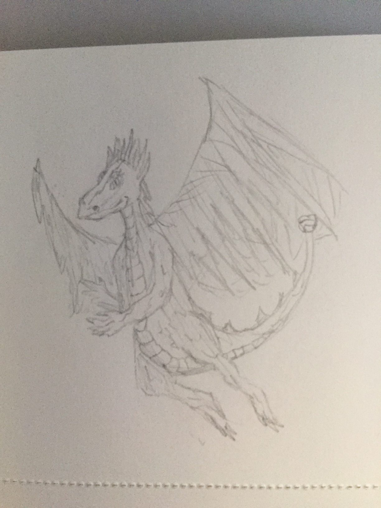 dragon hovering in the air in pencil