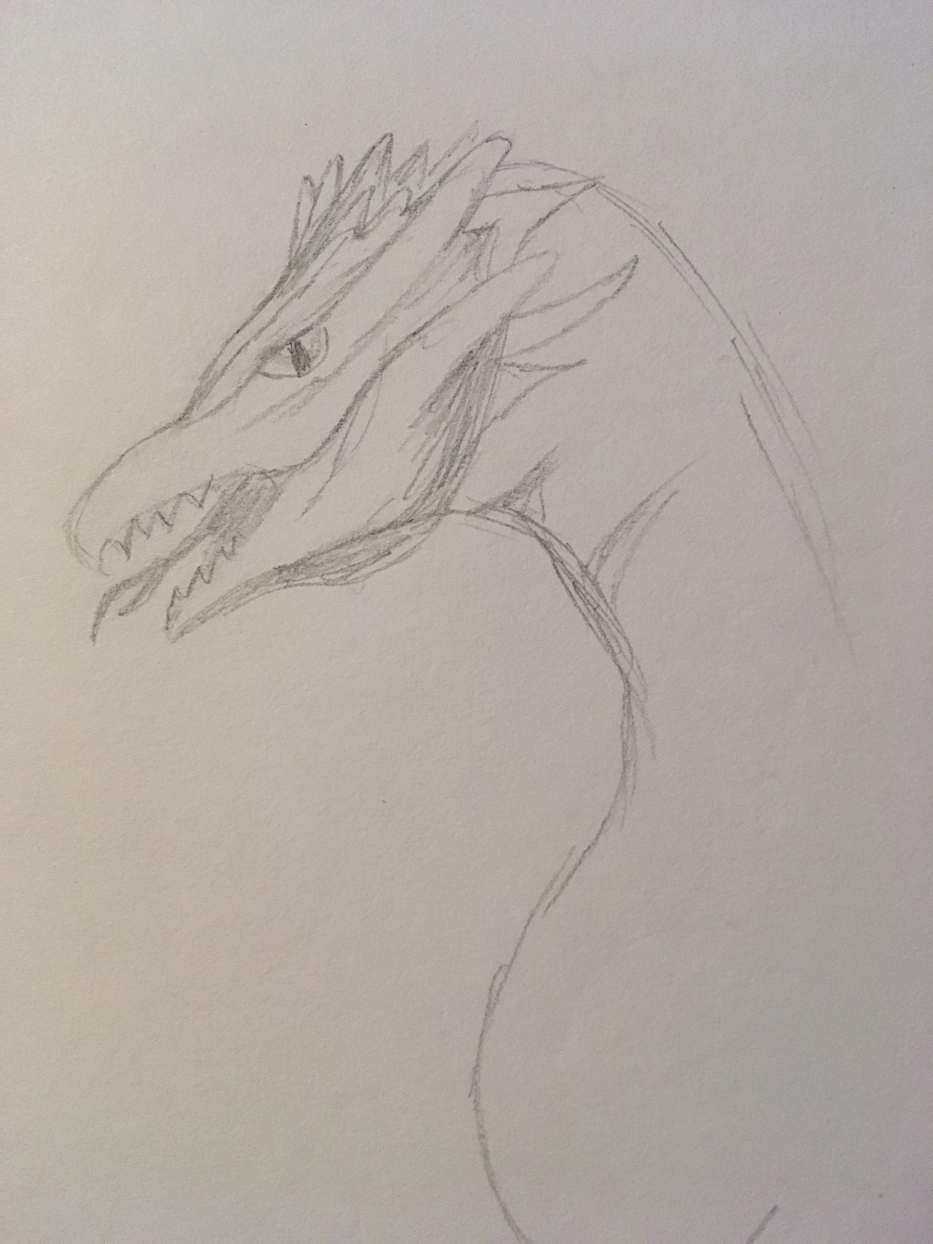 a rough sketch of a dragon head, may be fierce