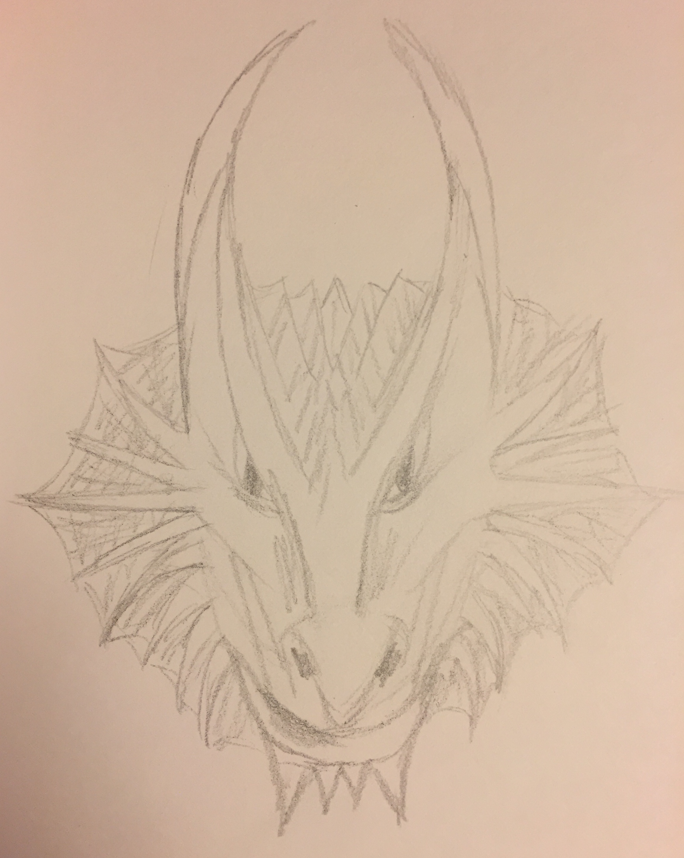 sketch of dragon face with lots of face wings