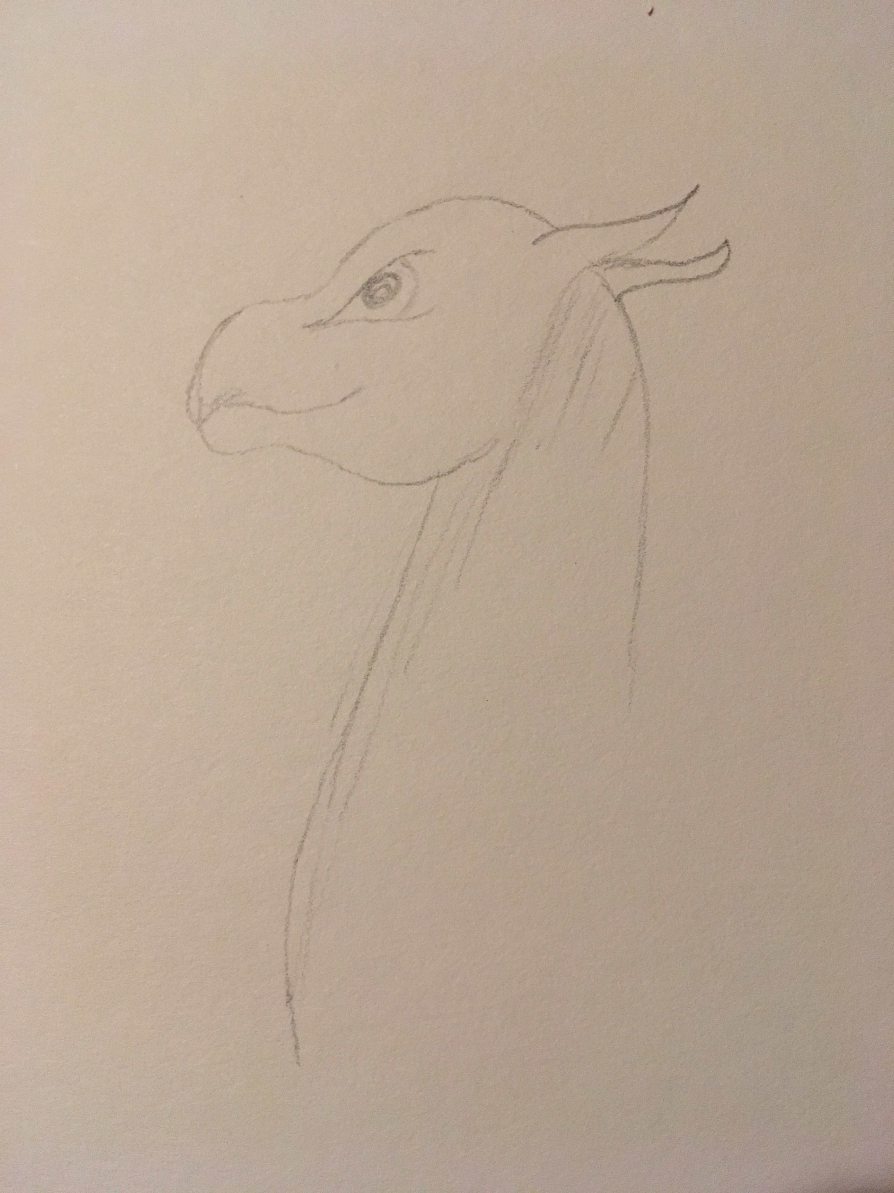 The head of a sweet dragon sketched in pencil